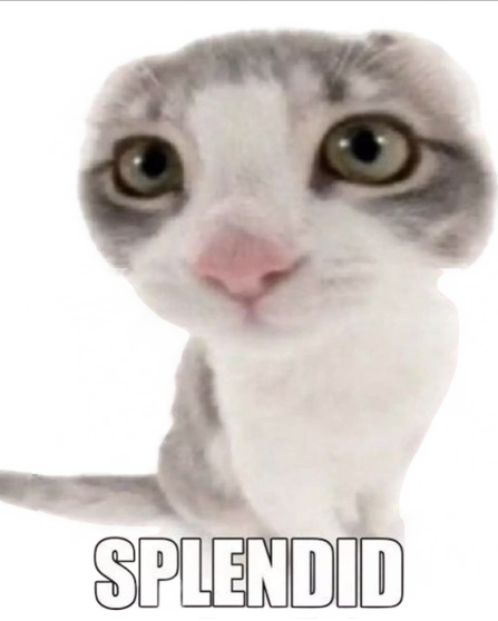 cat saying splendid
